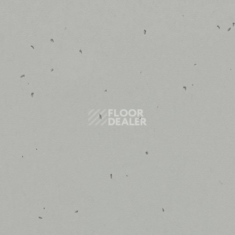 Линолеум Forbo Sphera Energetic 50202 concrete фото 1 | FLOORDEALER